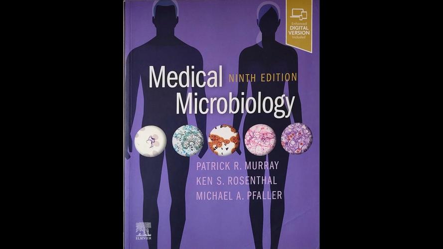 医学微生物学第九版pdf光环加速版截图