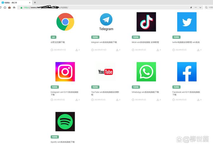 国内使用facebook教程截图