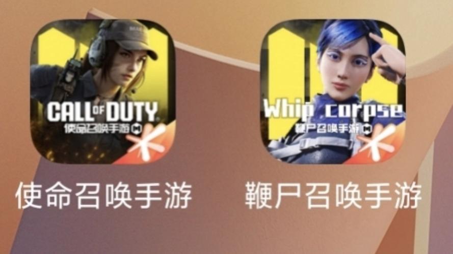 灰灰codm美化包破解版图标