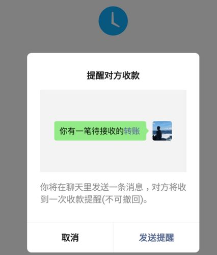 只有转账记录可以起诉吗国际版截图