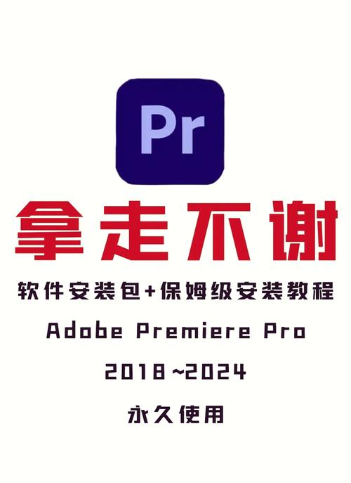 pr安装包下载光环加速版截图