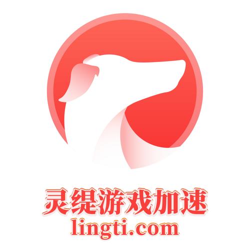 灵缇加速器20截图
