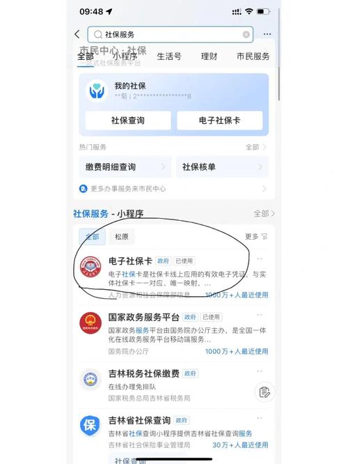 个人社保权益单怎么没有记录光环加速版截图