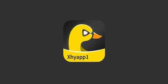 小黄鸭安装包旧版无广告安装缩略图