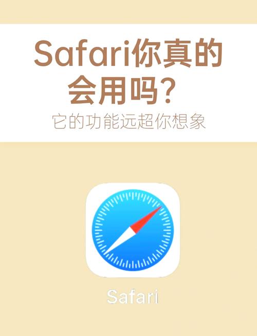 ios支持插件的浏览器测试新版国语版截图