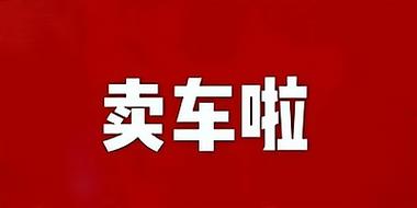 卖车当首富最新版轻量版截图