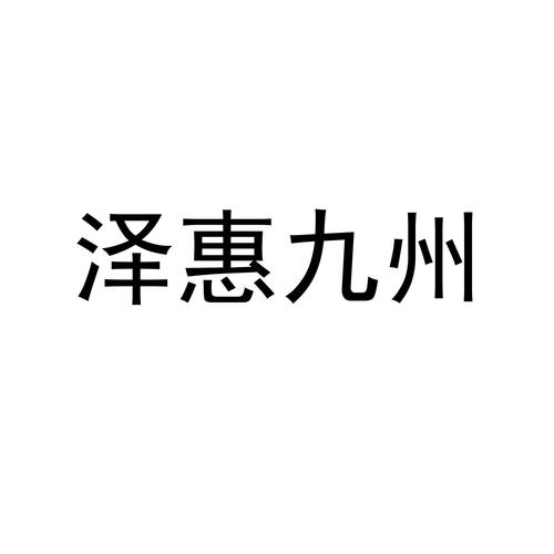 惠九州破解截图