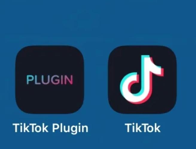 海外tiktok官方入口截图