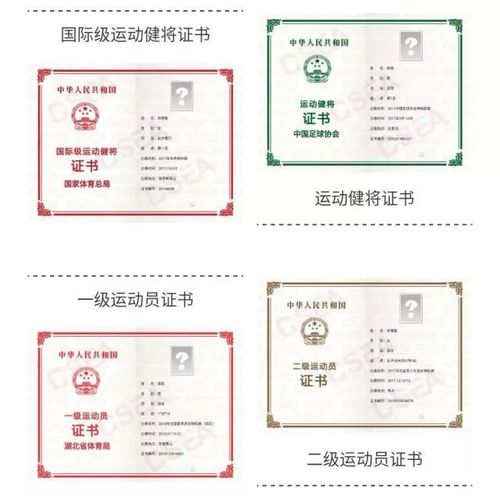 体教联盟怎么申请运动员证书光环加速版截图