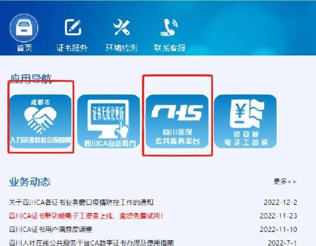 ca证书怎么登录不上去正版截图