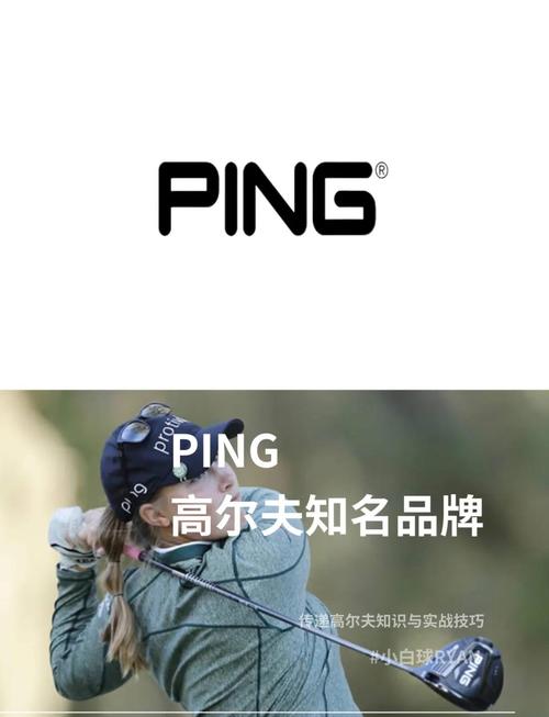 ping值一会30一会几百截图