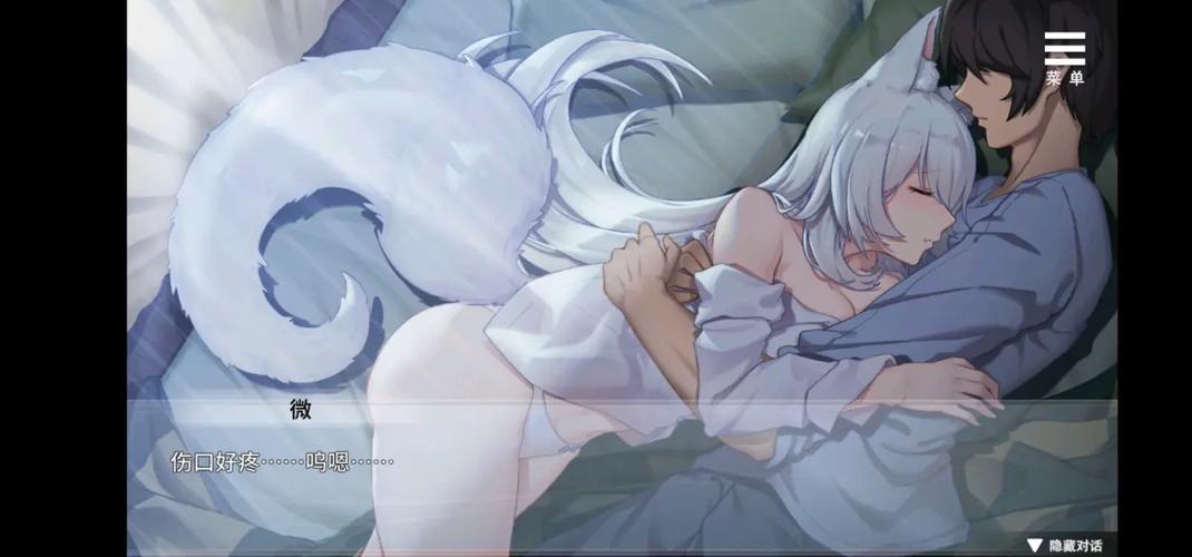 与狐妖的同居生活冷狐完整版下载光环加速版截图