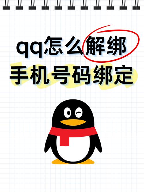隐box查QQ绑定最新版本正式版图标