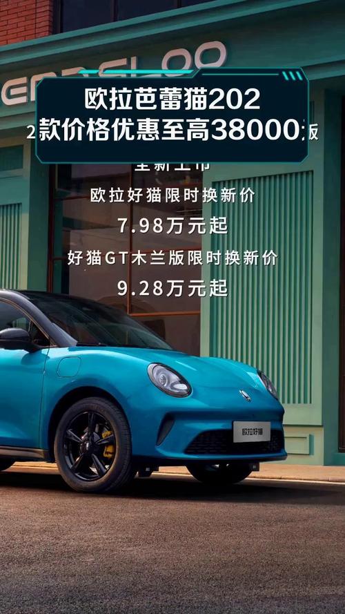 欧拉芭蕾猫2025款价格加速永久截图