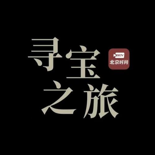 寻宝软件免费高清影视