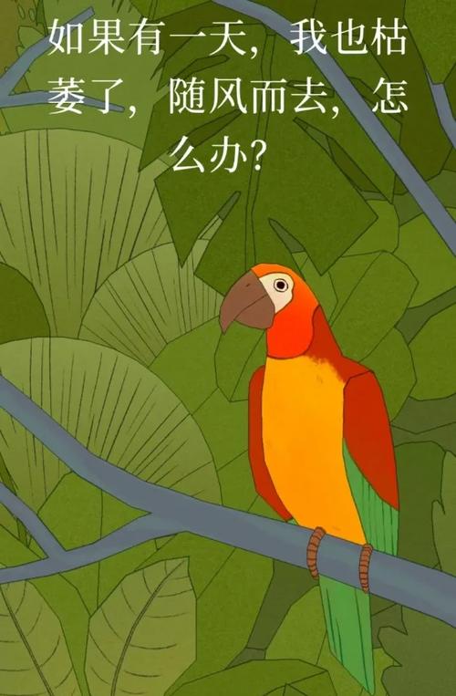 我就像一只孤独的鸟在野外高为永不升级版截图