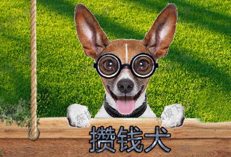 攒钱犬赚钱截图