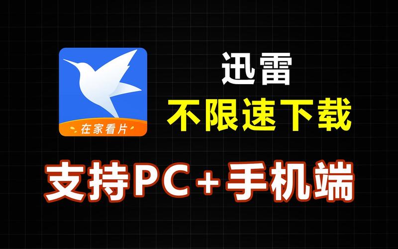 迅雷不限速 吾爱破解精简版不限速版下载