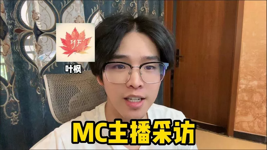 我的世界叶枫视频缩略图