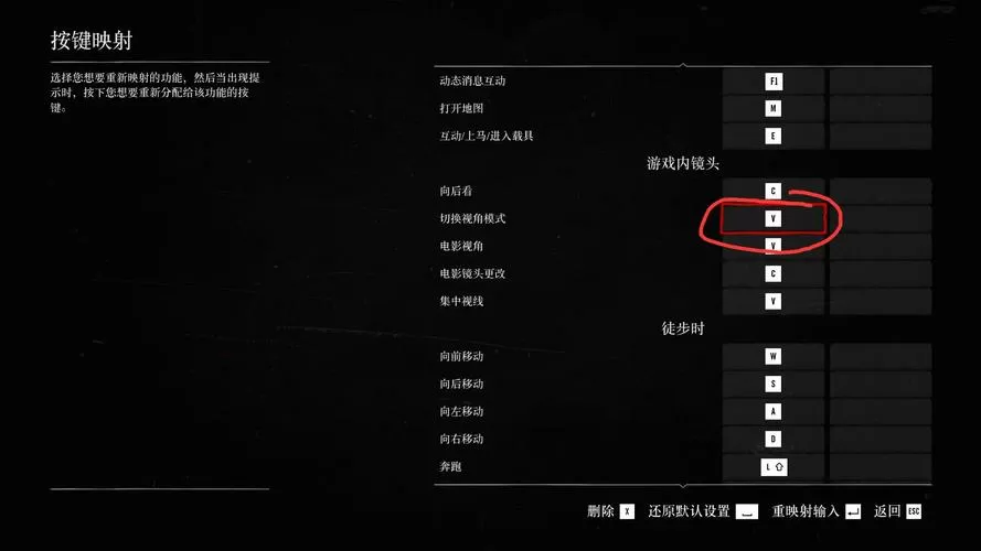 ps4荒野大镖客2怎么切换视角截图