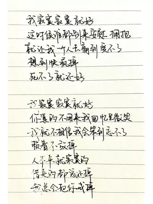 我寂寞寂寞就好 歌词缩略图