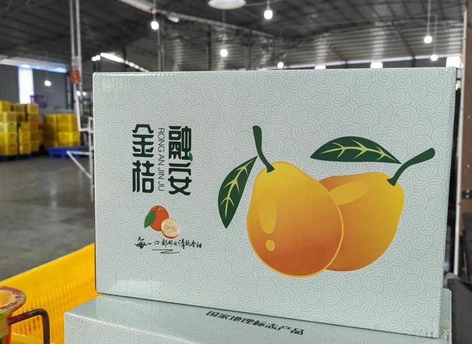 金桔直播截图