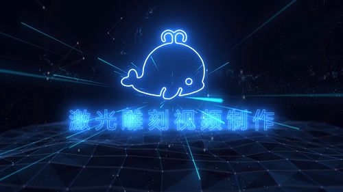 激光视频截图