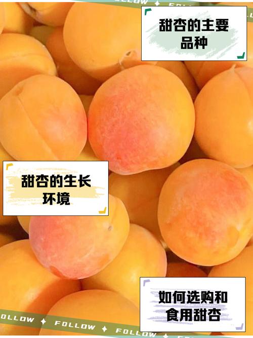 甜杏视频制截图