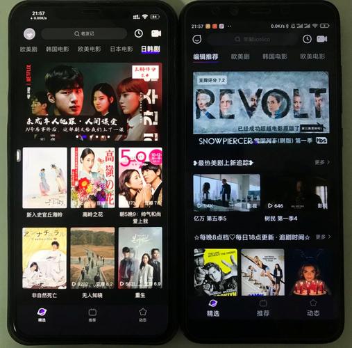 Lico视频截图