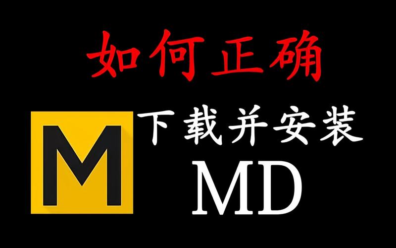 视频md正式版截图