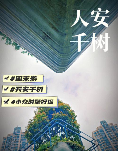 千树视频手机版截图