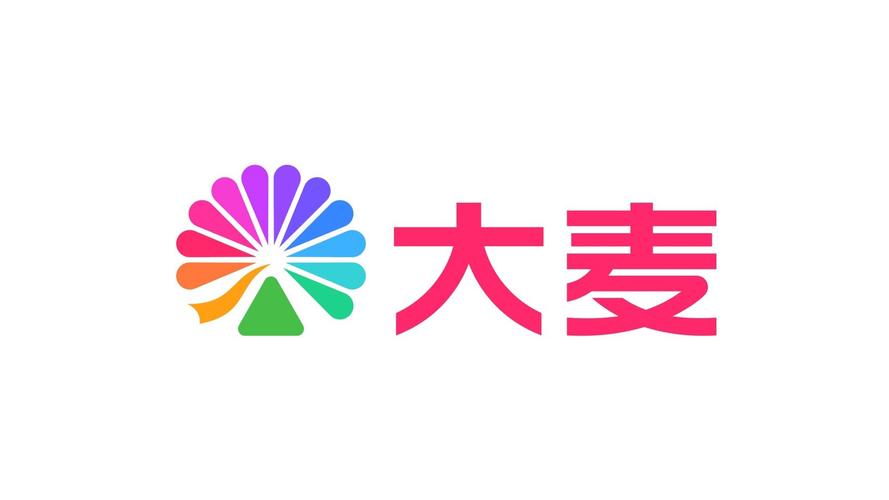 大麦视频截图