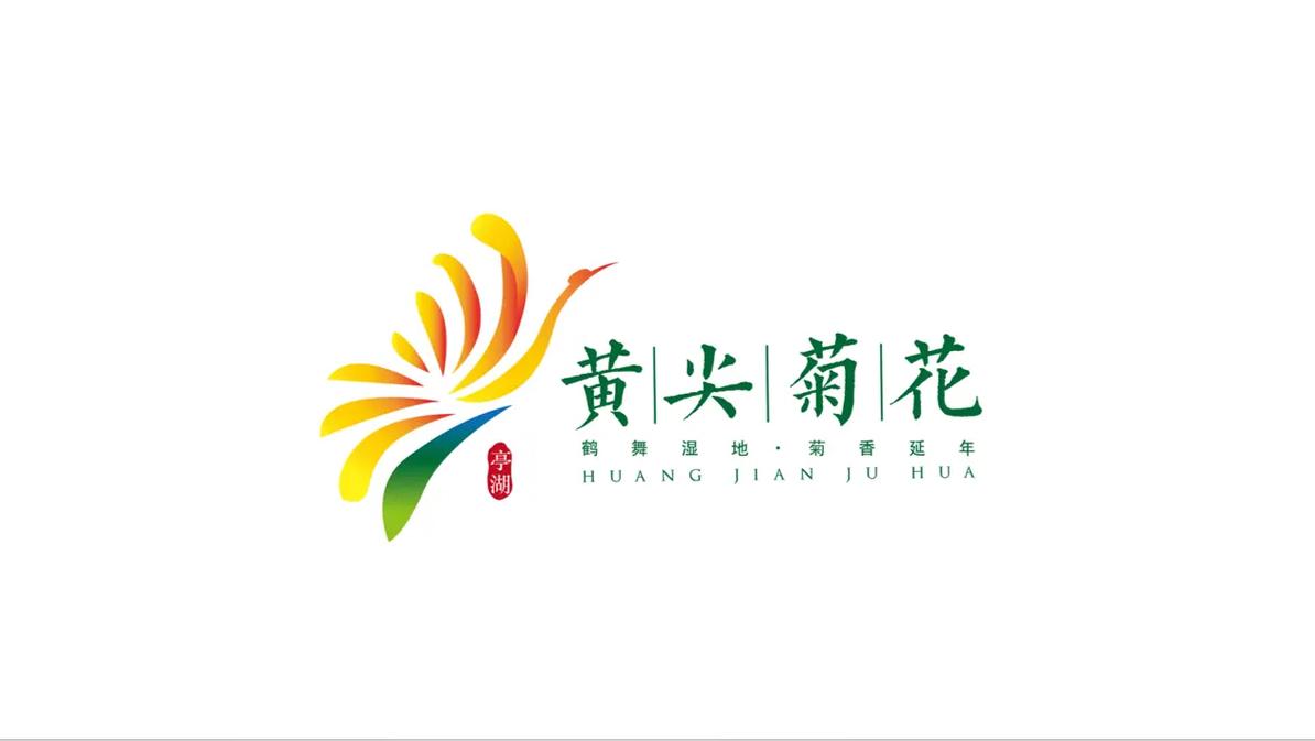 菊花影视正式版截图