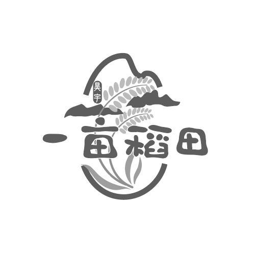 稻田影视截图