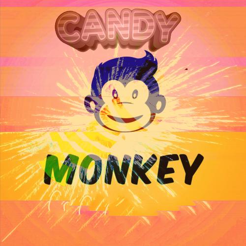 monkey视频截图