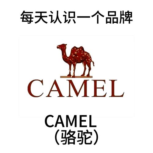 骆驼影视截图