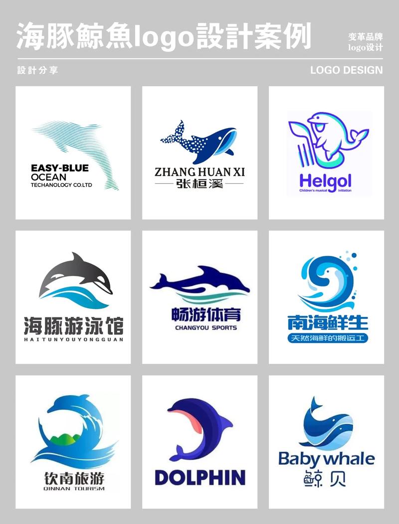海豚视频截图