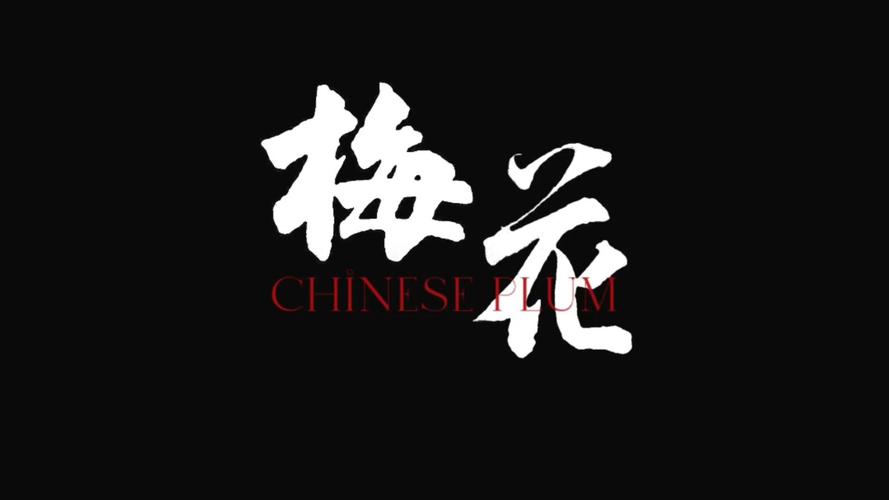 梅花视频旧版缩略图