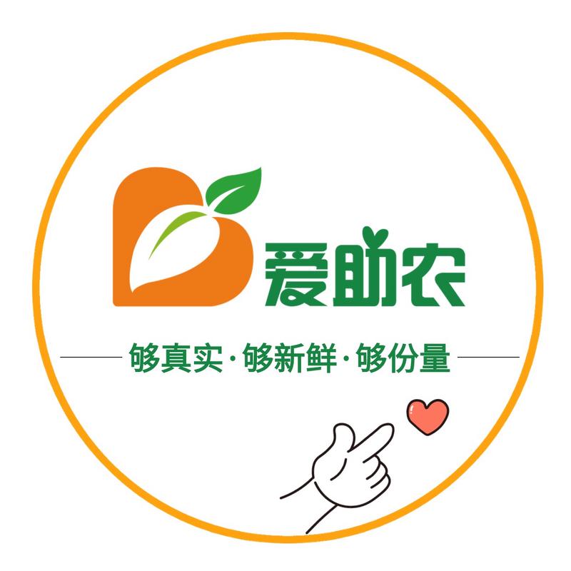 爱心果园种植赚钱缩略图