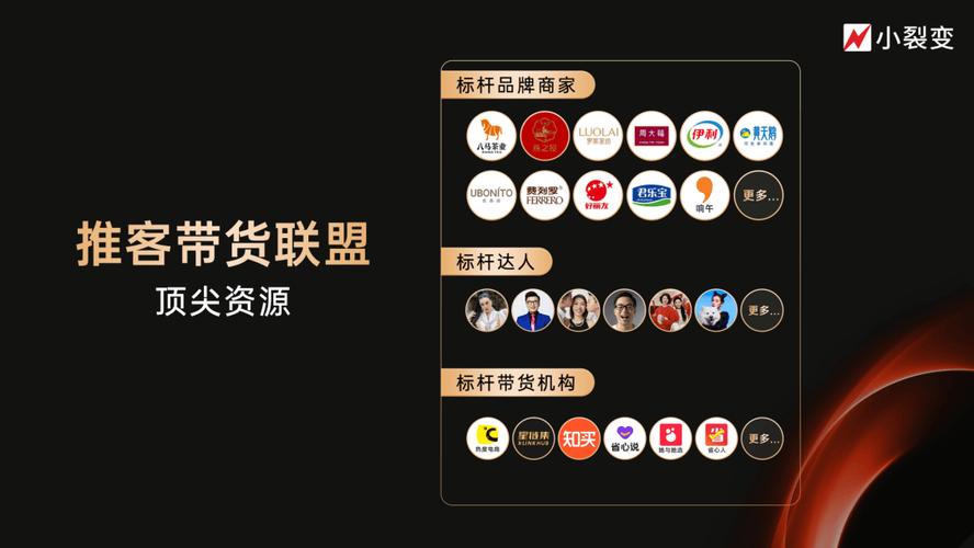 抖推客视频带货平