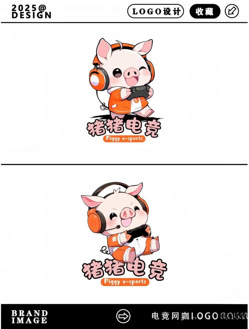 8008小猪视频app