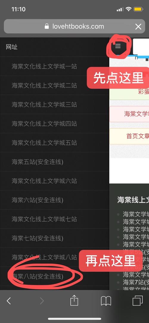 龙马海棠网小说在缩略图