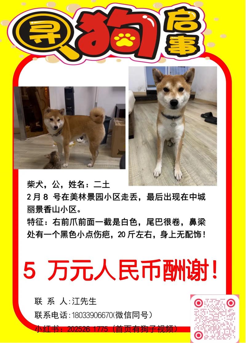 悬赏狗官网版缩略图