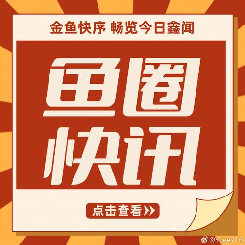 金鱼快讯截图