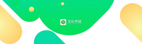 全名养猪截图