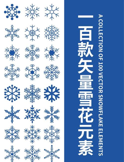 雪花视频1.01
