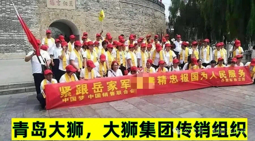 大狮集团商城截图