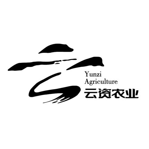 云享村赚钱图标