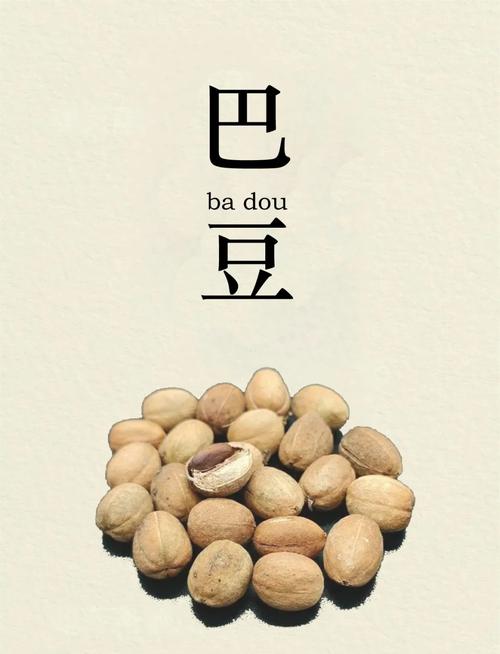 巴豆好赞手机版缩略图