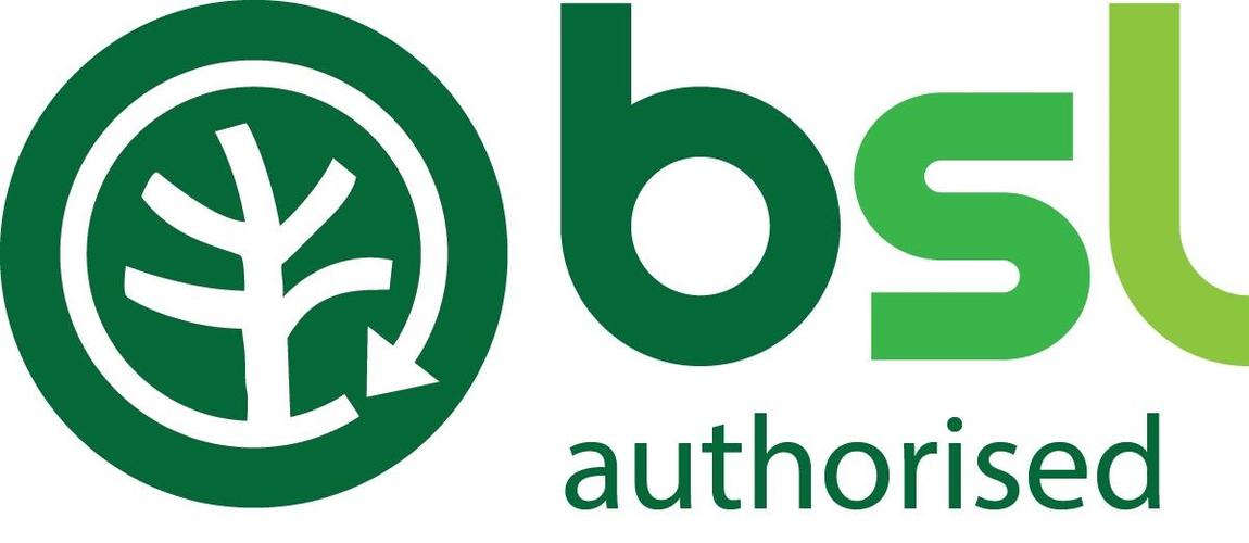 BSL宝石链赚钱截图